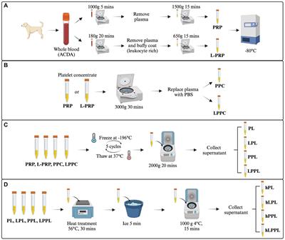 Growth factor and cytokine characterization of canine platelet lysate with variable leukocyte concentration, plasma content, and heat-sensitive proteins